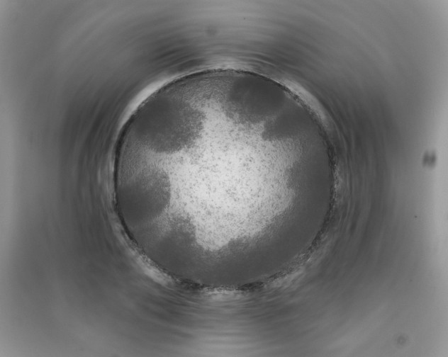 X0000091210886200708091345