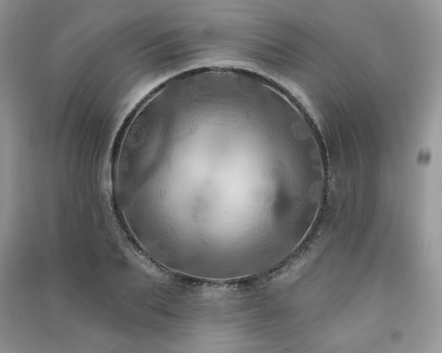 X0000091210887200708091345