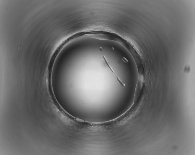 X0000091210888200708091345