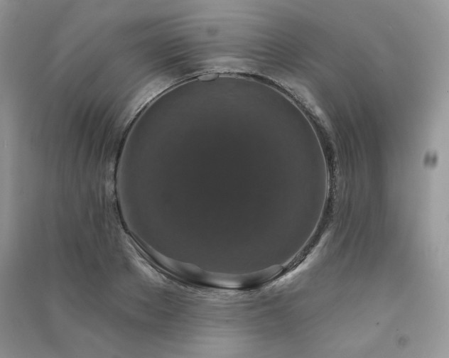 X0000091210889200708091345