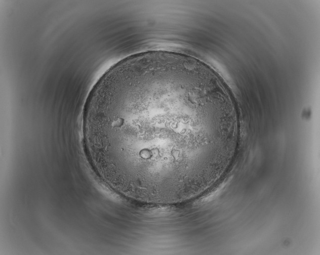 X0000091210891200708091345