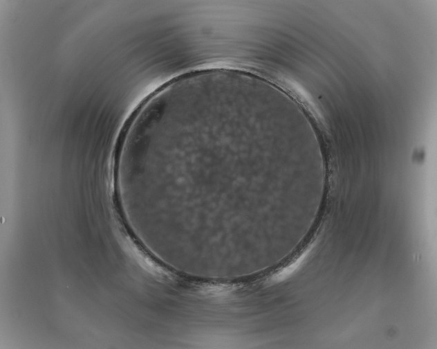X0000091210892200708091345