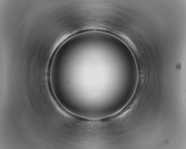 X0000091210893200708091345