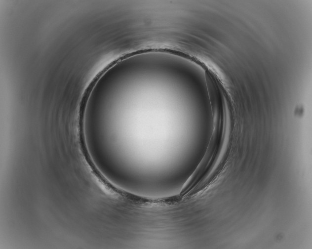 X0000091210894200708091345