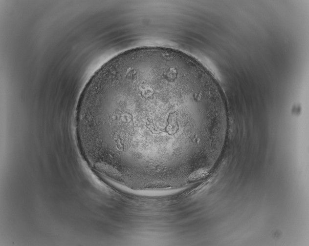 X0000091210895200708091345