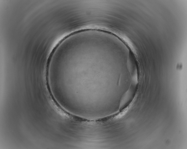 X0000091210896200708091345