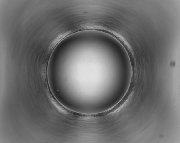 X0000091210897200708091345
