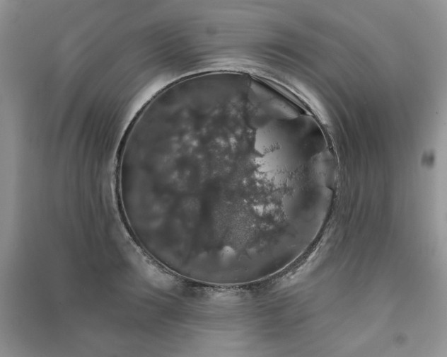 X0000091210899200708091345