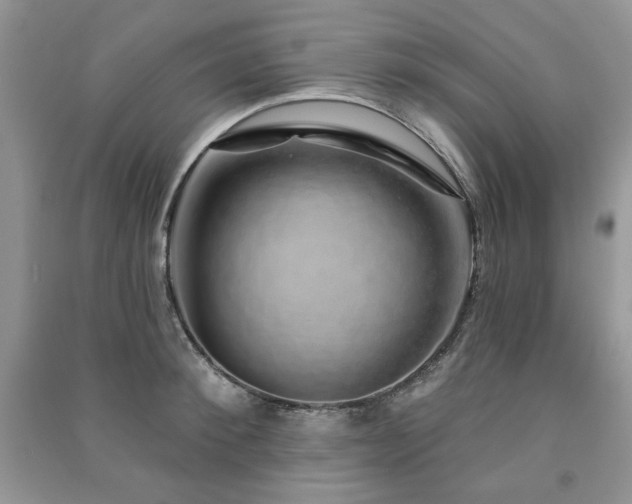 X0000091210900200708091345