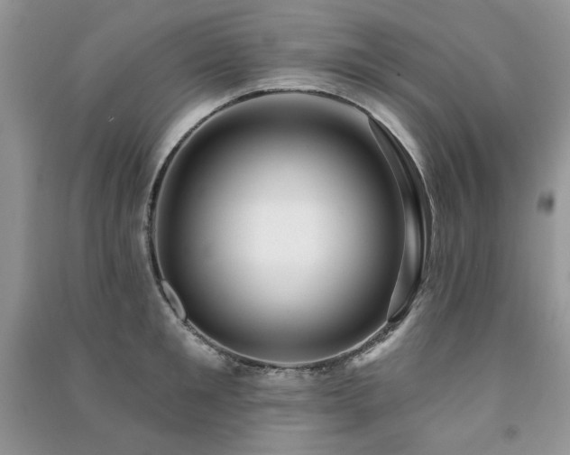 X0000091210901200708091345