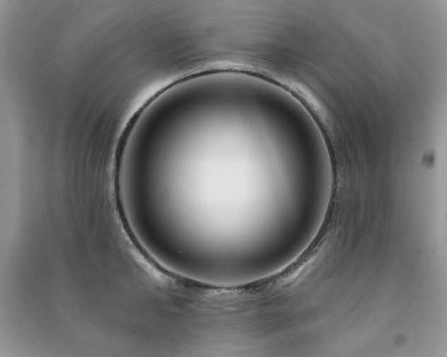 X0000091210902200708091345