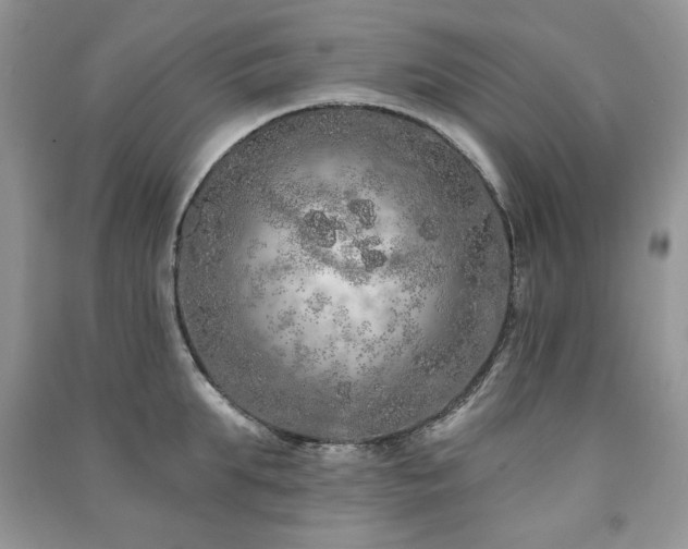 X0000091210903200708091345
