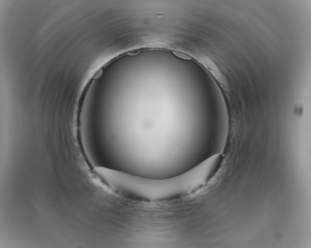 X0000091210904200708091345