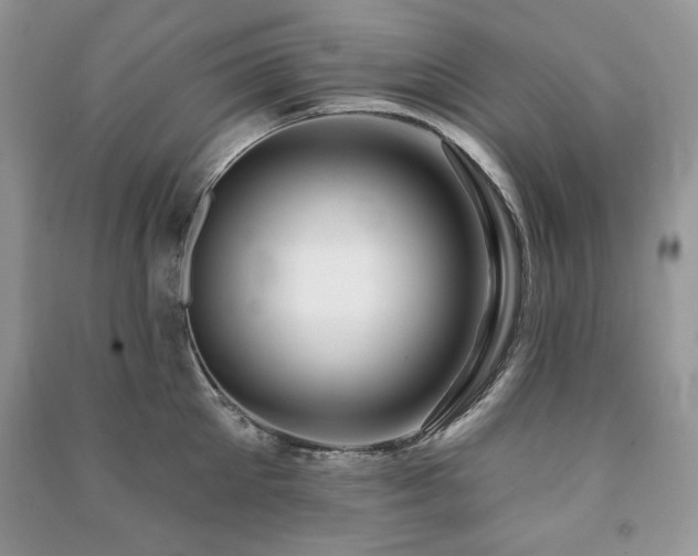 X0000091210905200708091345