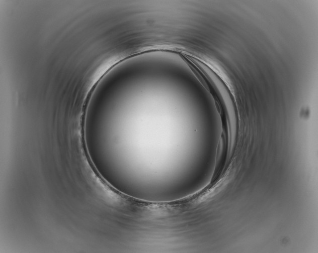 X0000091210906200708091345