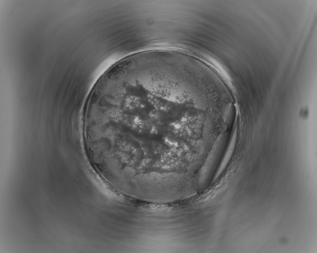 X0000091210907200708091345
