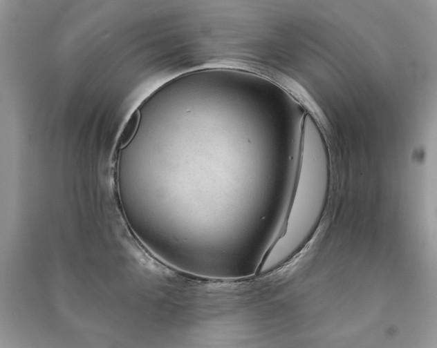 X0000091210908200708091345