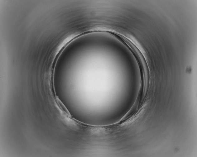X0000091210909200708091345