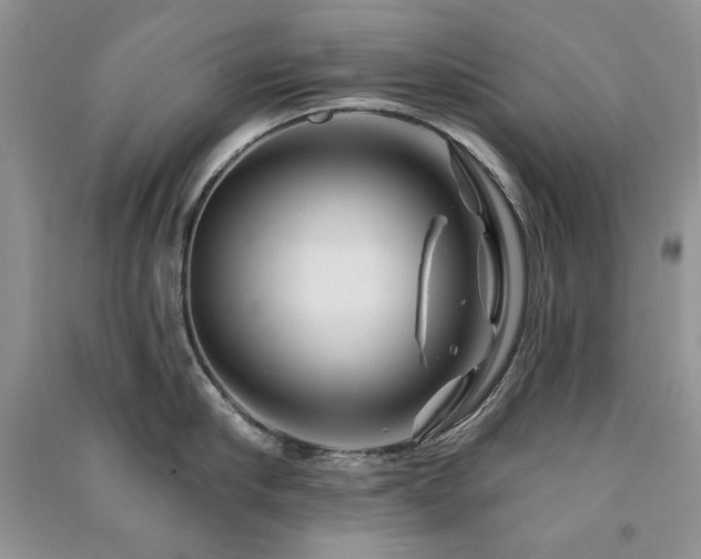 X0000091210910200708091345