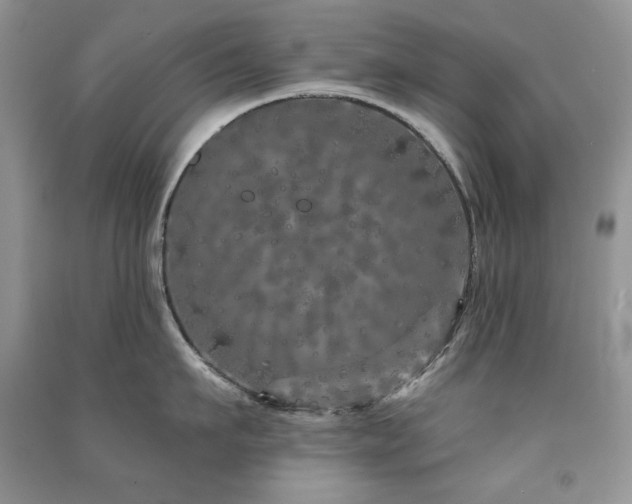 X0000091210911200708091345
