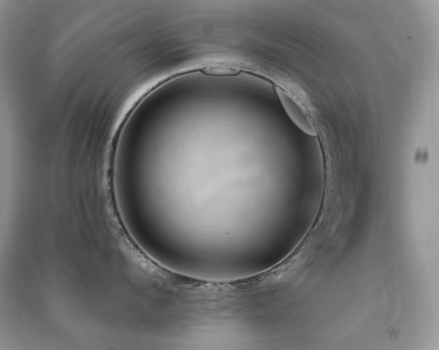 X0000091210912200708091345