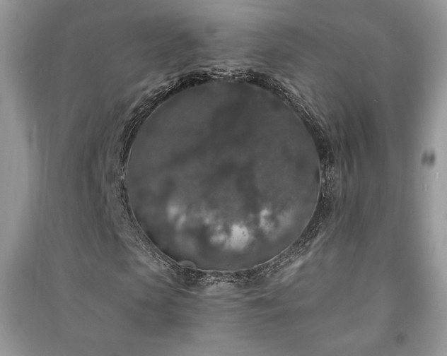 X0000091210913200708091344