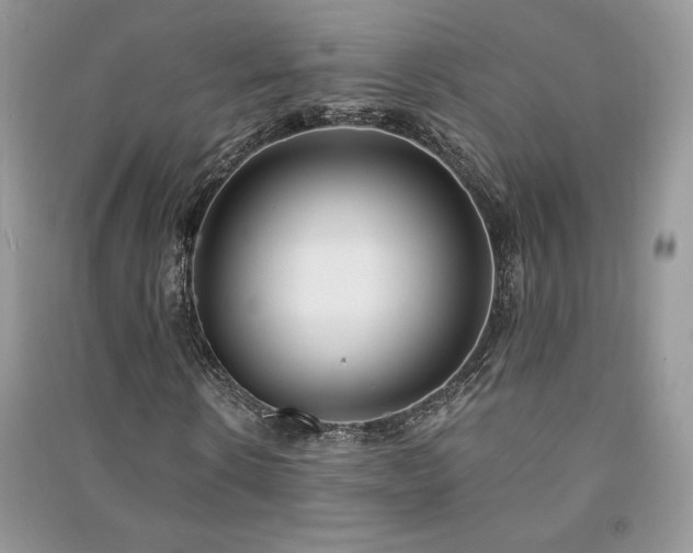 X0000091210914200708091344
