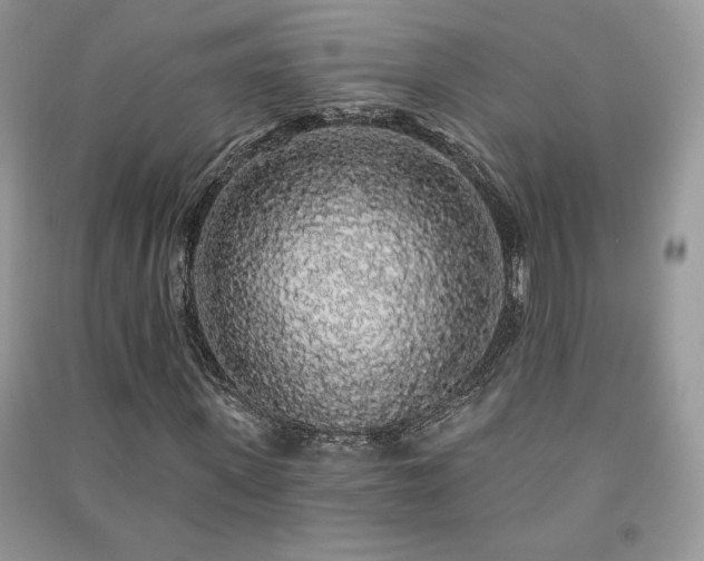 X0000091210915200708091344