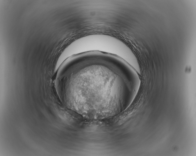 X0000091210916200708091344