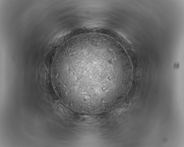X0000091210917200708091344