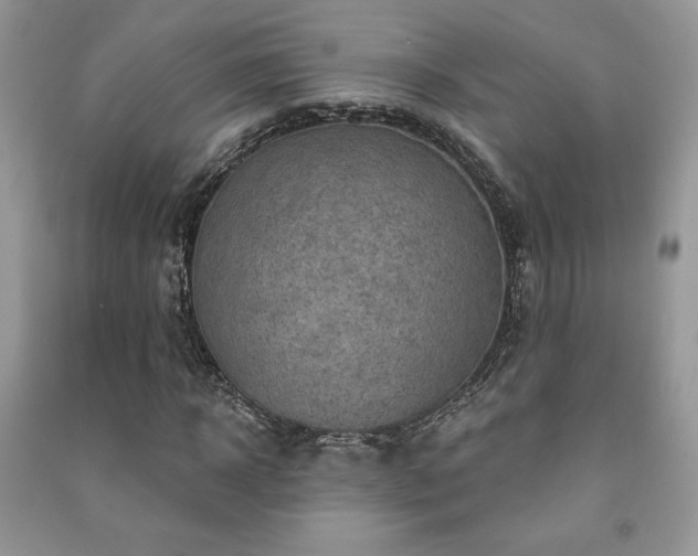 X0000091210918200708091344