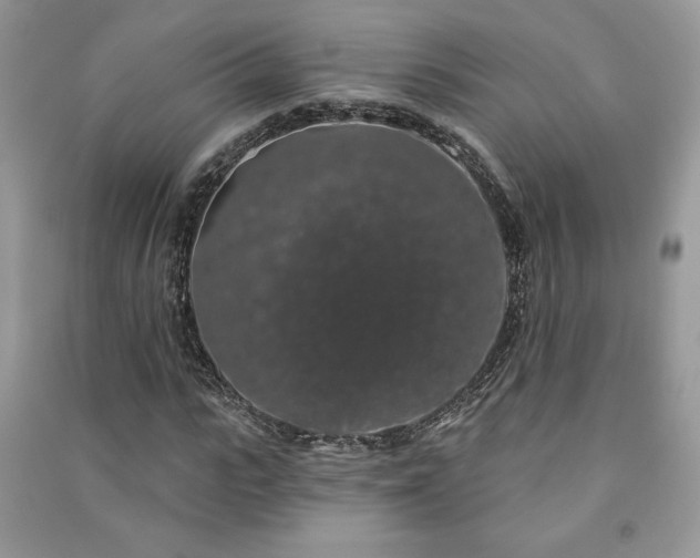 X0000091210919200708091344