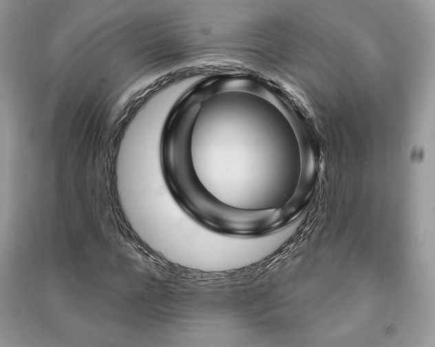X0000091210920200708091344