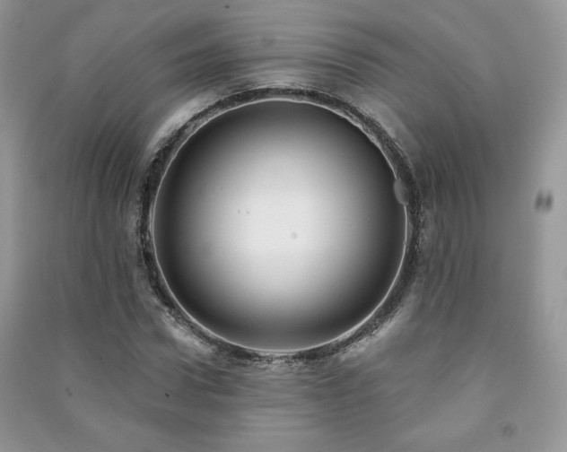 X0000091210922200708091344