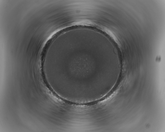 X0000091210923200708091344