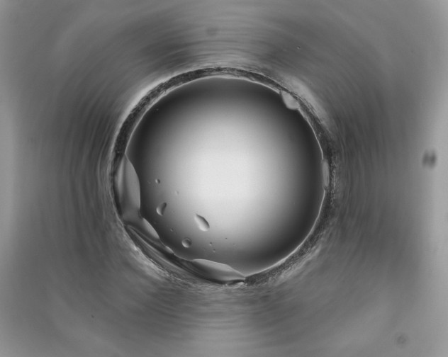 X0000091210924200708091344