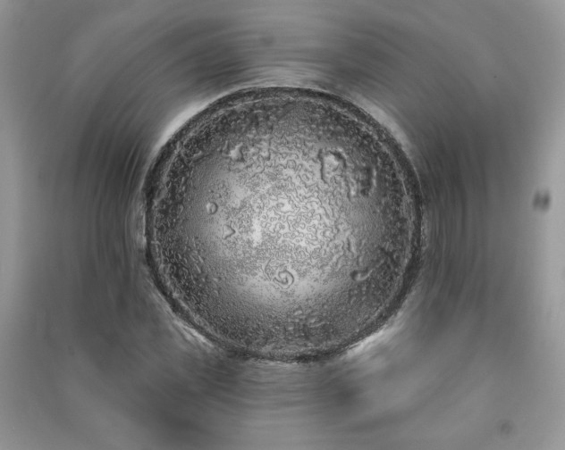 X0000091210925200708091344