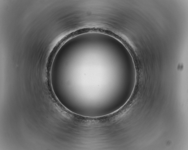 X0000091210927200708091344