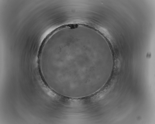 X0000091210928200708091344