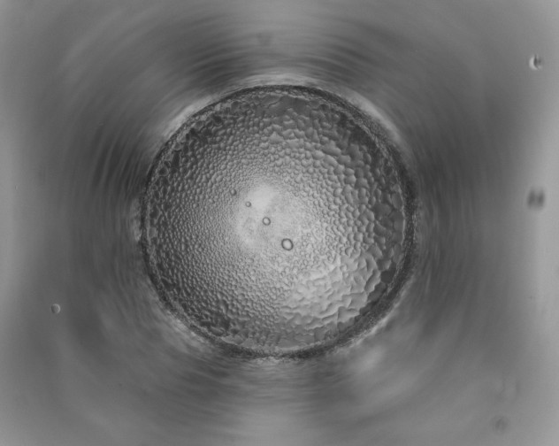 X0000091210929200708091344