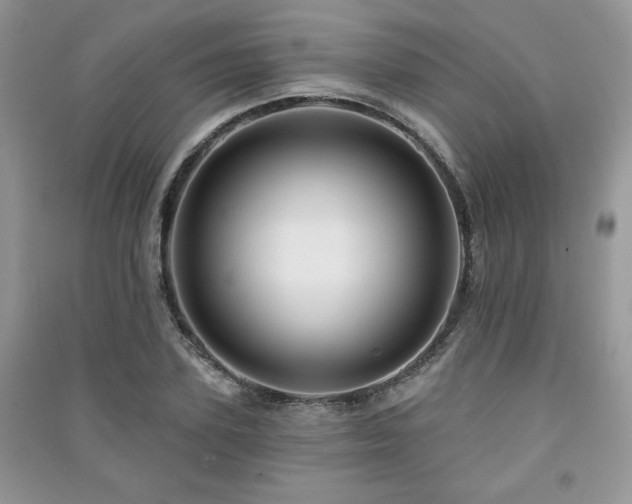 X0000091210931200708091344