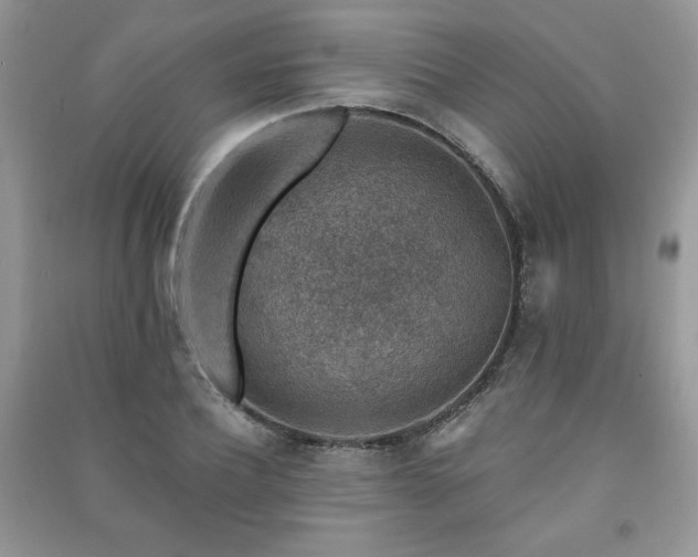 X0000091210932200708091344