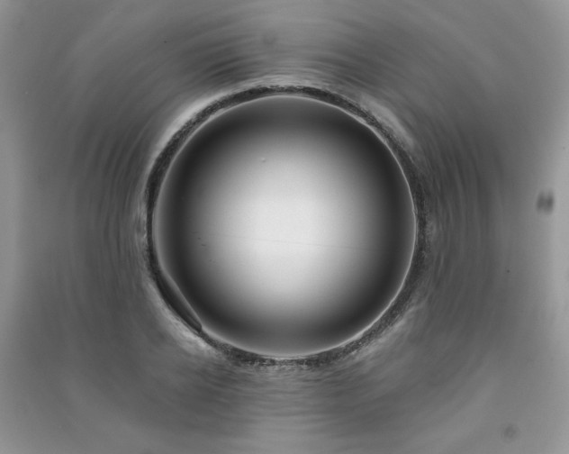 X0000091210934200708091344