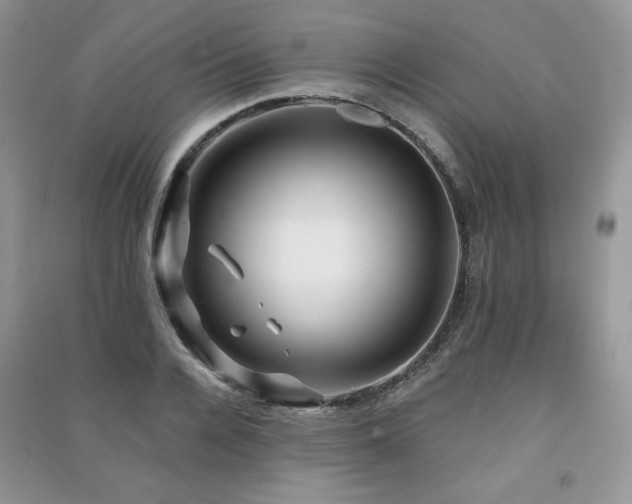 X0000091210936200708091344