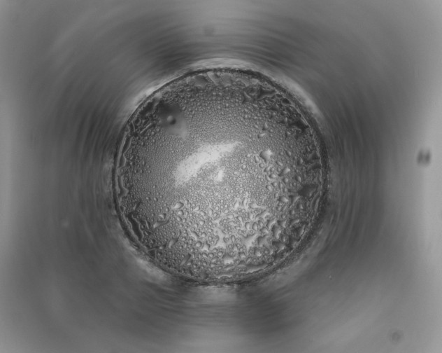 X0000091210937200708091344