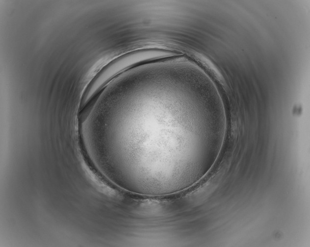 X0000091210938200708091344