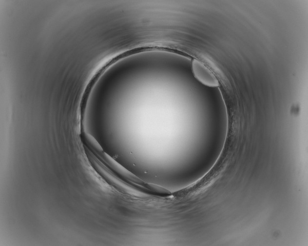 X0000091210940200708091344