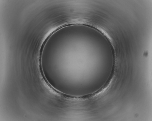 X0000091210941200708091344