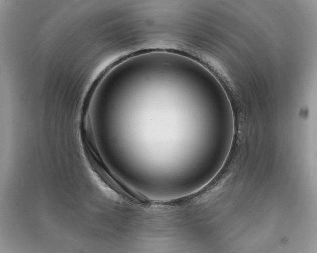 X0000091210942200708091344