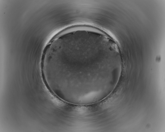 X0000091210943200708091344